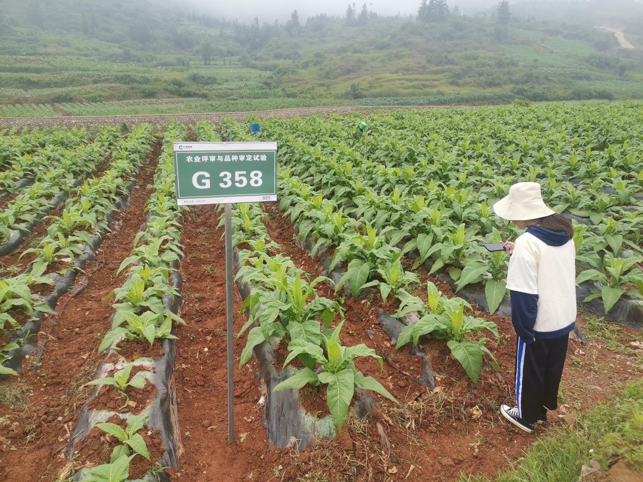 说明:微信图片_202207212326121