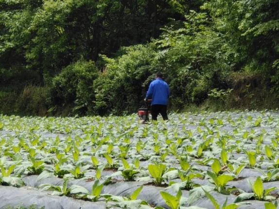 说明:Cache_-7ab12338397447dc.