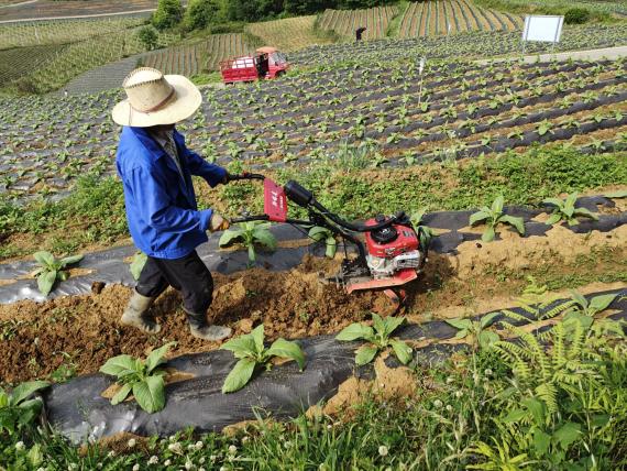 说明:Cache_-84300b5c2e97ce4.