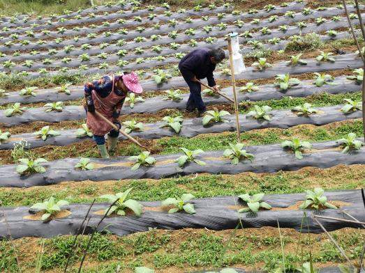 说明:C:\Users\long\Desktop\QQ图片20220723161710.jpgQQ图片20220723161710