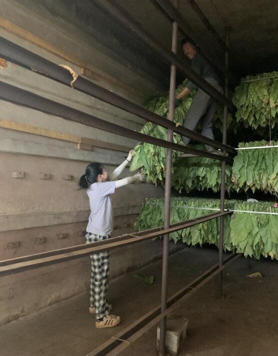 说明:a0ec3914ad0dbd2de0ec6e2365e683b