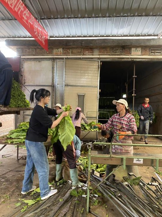 说明:2b1298e0c705a0ca5e80395349dcb2e