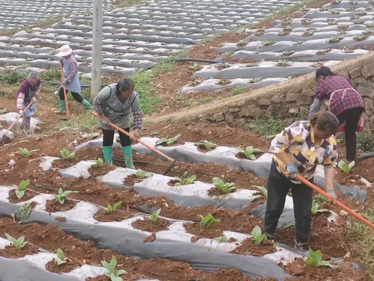 说明:微信图片_20220721223129