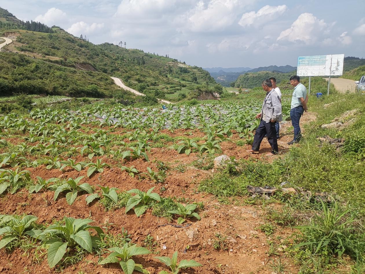 说明:微信图片_20220721224018