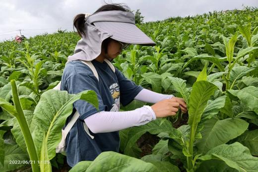 说明:Cache_720803ee2a446949.