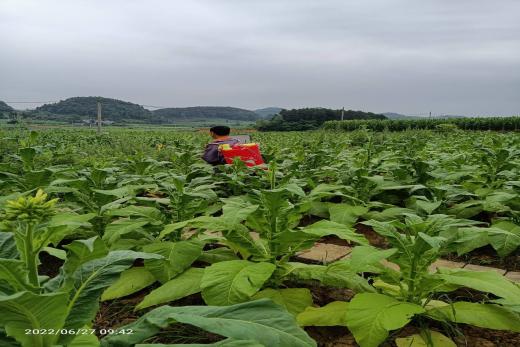 说明:Cache_6f4f62f00ba94b67.