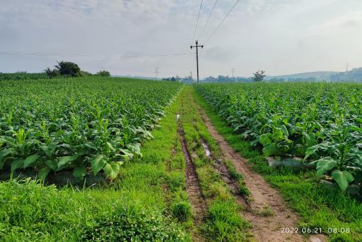 说明:1656323295990