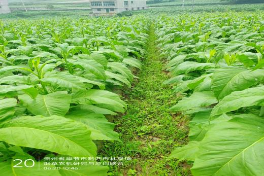 说明:1656323744751