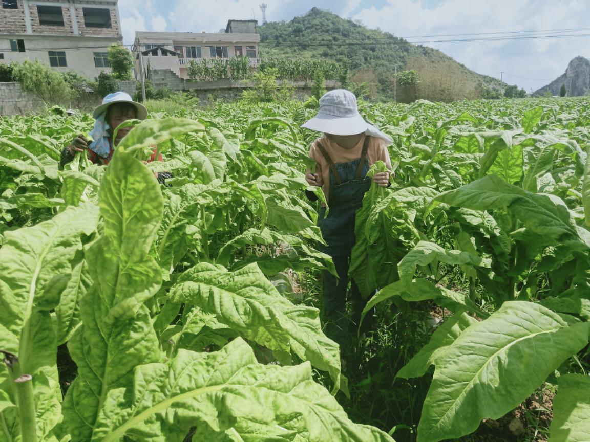 说明:2Z73W`}LSAS4%84S`P8D`WH